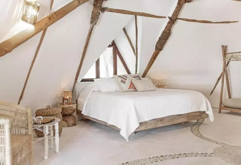 Fotos del hotel Casa Las Tortugas Petit Beach Hotel & Spa:  10