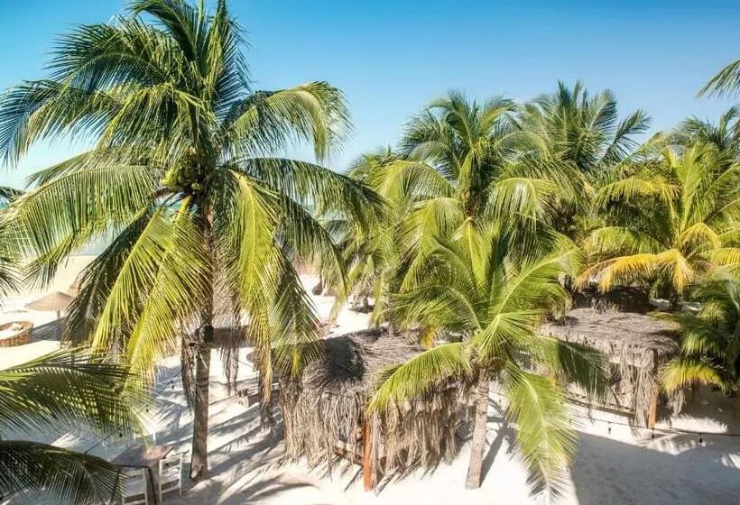 Fotos del hotel Casa Las Tortugas Petit Beach Hotel & Spa:  19