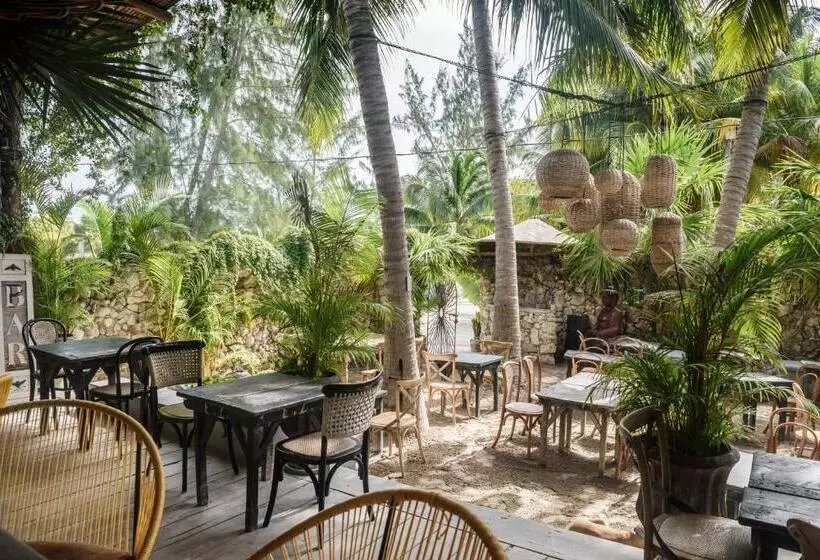 Fotos del hotel Casa Las Tortugas Petit Beach Hotel & Spa:  6