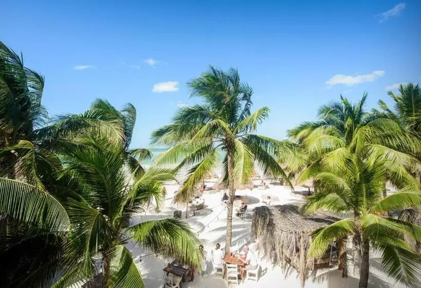 Fotos del hotel Casa Las Tortugas Petit Beach Hotel & Spa:  9