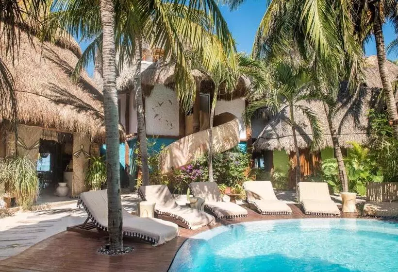 Fotos del hotel Casa Las Tortugas Petit Beach Hotel & Spa:  14