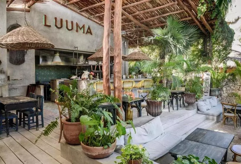 Fotos del hotel Casa Las Tortugas Petit Beach Hotel & Spa:  13