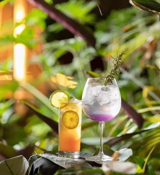 Fotos del hotel Pavilion On Northbourne:  7