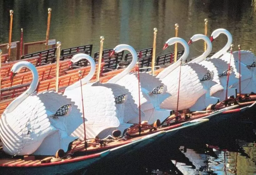 Fotos del hotel Residence Inn By Marriott Boston Harbor On Tudor Wharf:  9