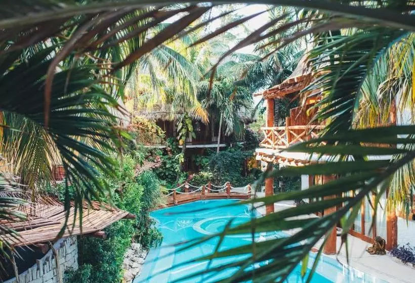 Fotos del hotel Casa Las Tortugas Petit Beach Hotel & Spa:  2