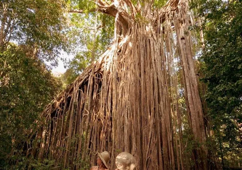 Fotos del hotel Coral Tree Inn:  9