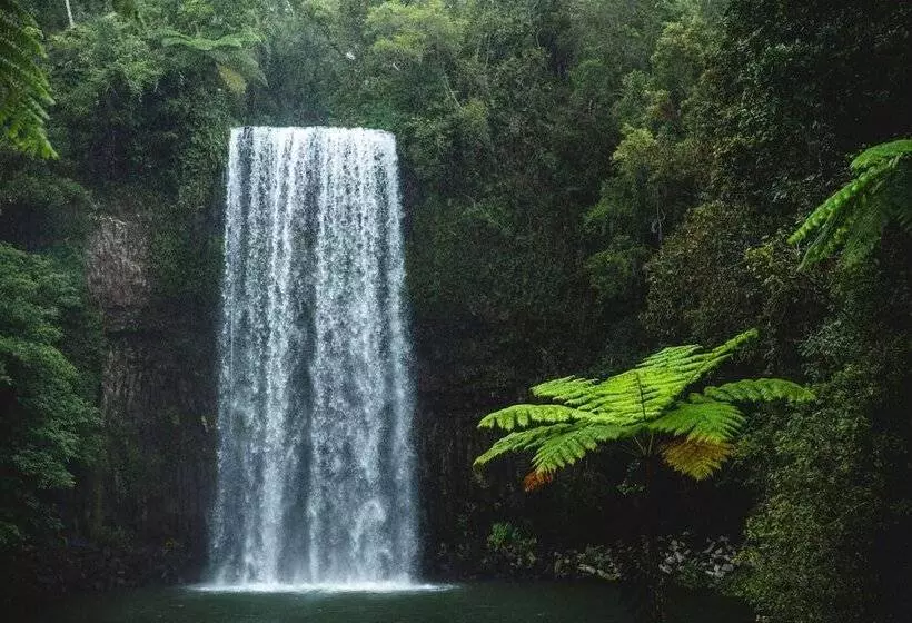 Fotos del hotel Coral Tree Inn:  5