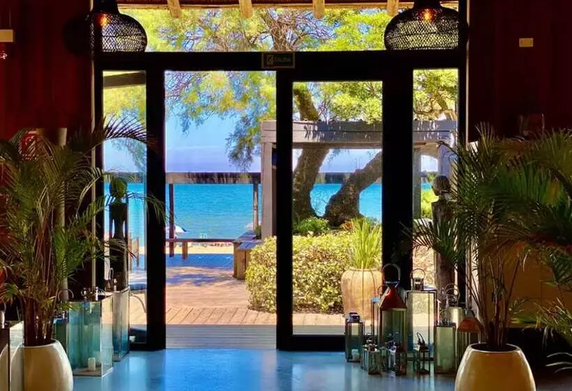 Fotos del hotel Serena:  9