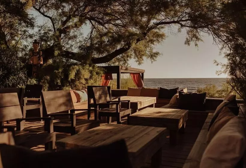 Fotos del hotel Serena:  7