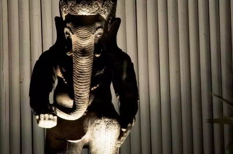 Fotos del hotel Serena:  8