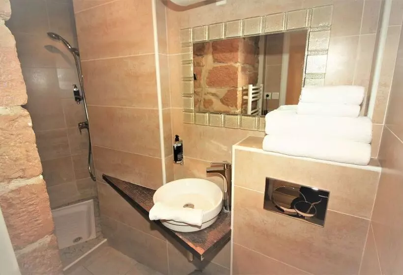 Fotos del hotel Best Western Lyon Saintantoine:  9