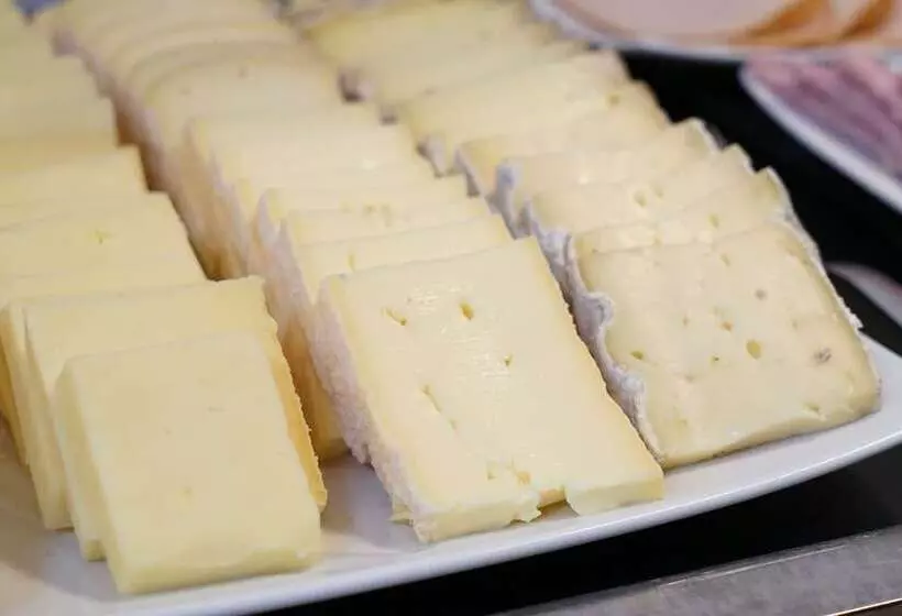 Fotos del hotel Best Western Lyon Saintantoine:  19