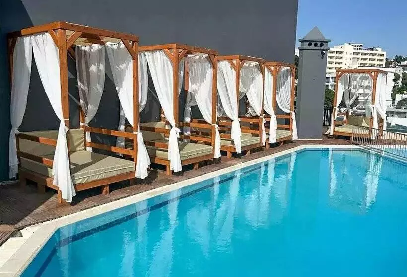 Fotos del hotel Asena:  6