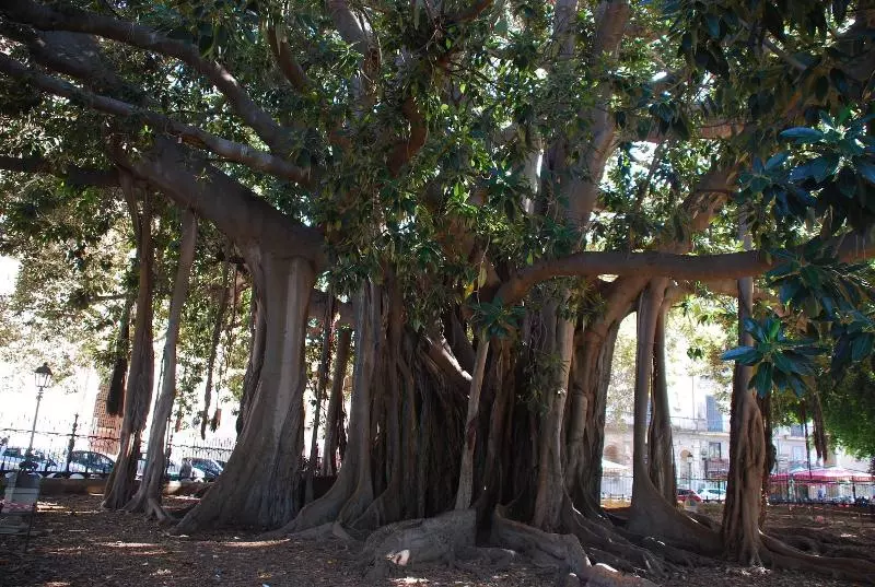 Fotos del hotel Boutique B&b Vintage:  5