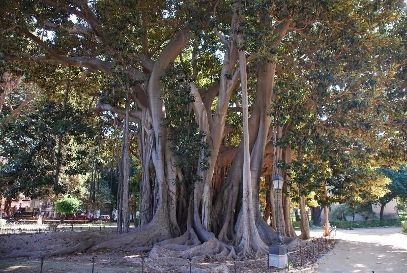 Fotos del hotel Boutique B&b Vintage:  9