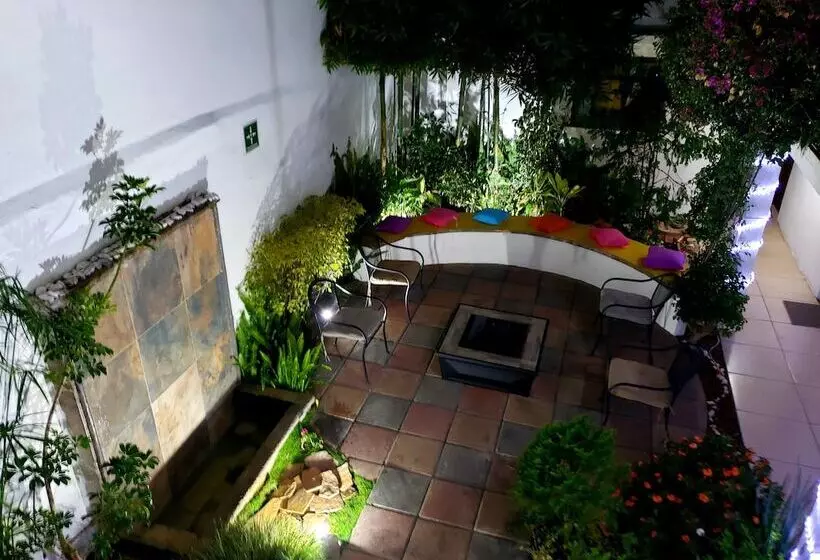 Fotos del hotel Casa Mia:  24