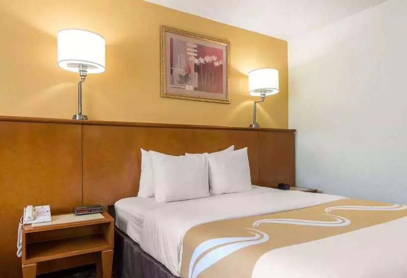 Fotos del hotel Quality Inn & Suites Near The Theme Parks:  14