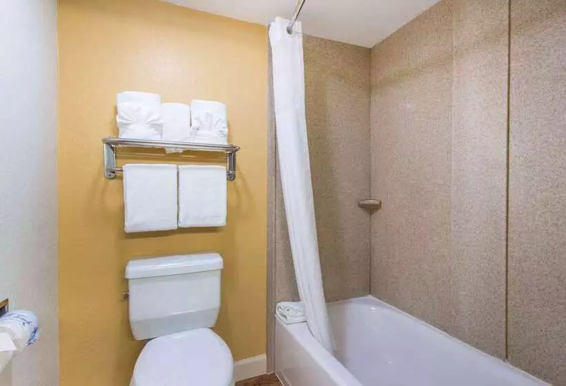 Fotos del hotel Quality Inn & Suites Near The Theme Parks:  8