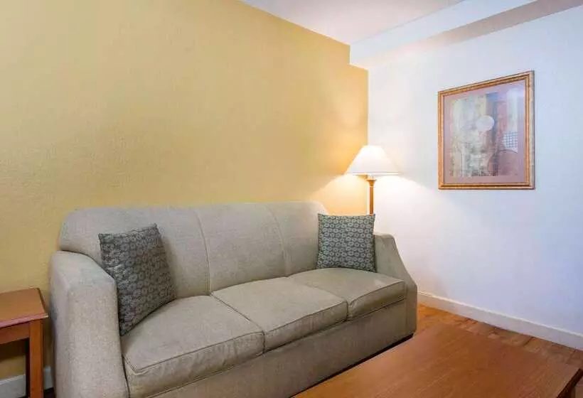 Fotos del hotel Quality Inn & Suites Near The Theme Parks:  23