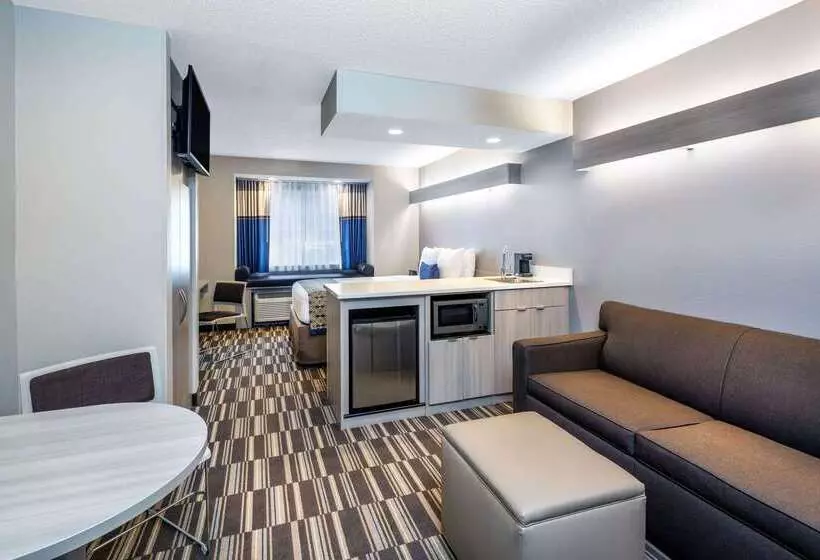 Fotos del hotel Microtel Inn & Suites By Wyndham Atlanta Buckhead Area:  24