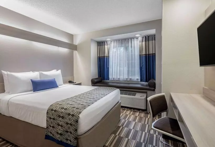 Microtel Inn & Suites By Wyndham Atlanta Buckhead Area