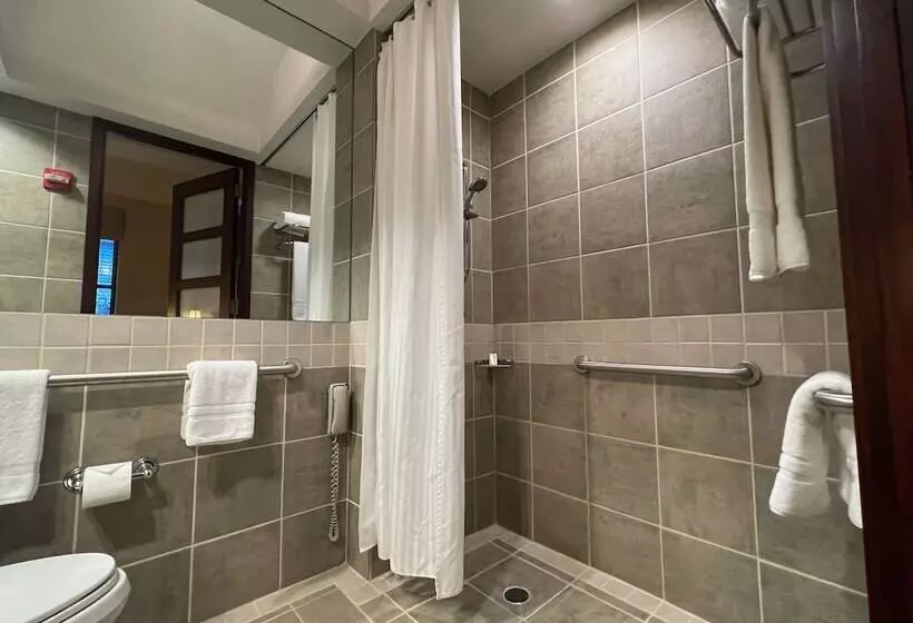 Fotos del hotel Library  By Library  Collection:  14