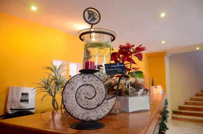 Fotos del hotel Caribbean Paradise Boutique:  8