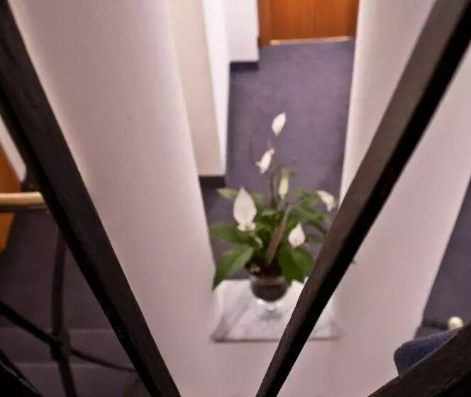 Fotos del hotel Concordia:  5