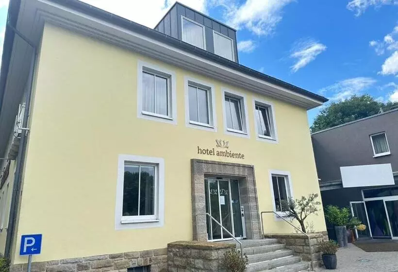 Fotos del hotel Ambiente:  11