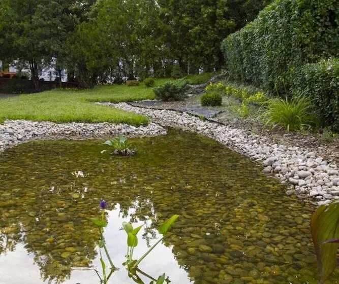 Fotos del hotel Classic:  7