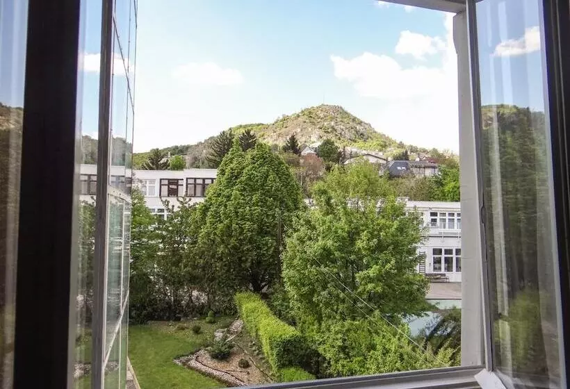 Fotos del hotel Classic:  13