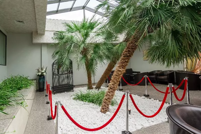 Fotos del hotel Detelina:  13