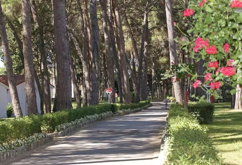 Fotos del hotel Village Galijot Plava Laguna:  12