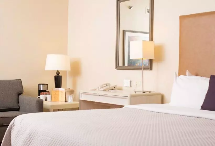 Fotos del hotel Istay Hotel Ciudad Juarez:  6