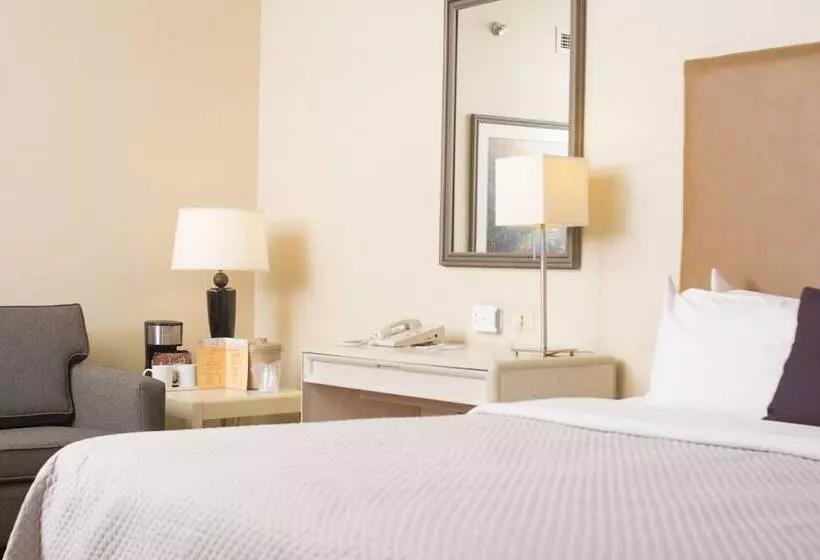 Fotos del hotel Istay Hotel Ciudad Juarez:  13