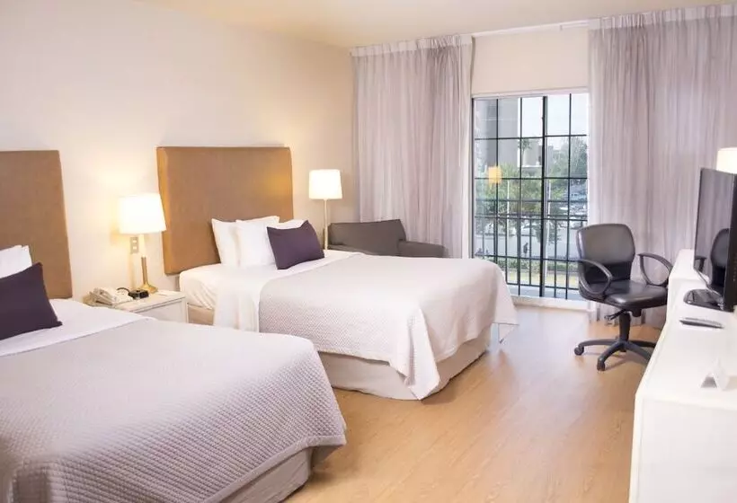 Fotos del hotel Istay Hotel Ciudad Juarez:  18