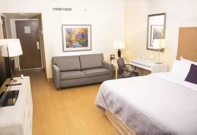 Fotos del hotel Istay Hotel Ciudad Juarez:  19