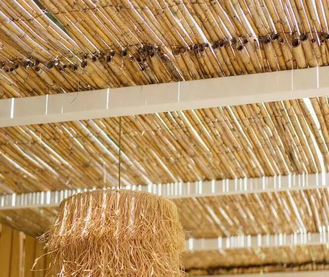 Fotos del hotel Costa Maya Bodrum:  15