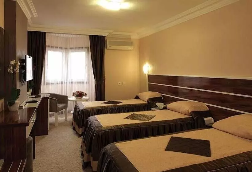 Fotos del hotel Hotel Ogulturk:  9