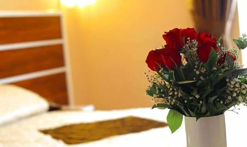 Fotos del hotel Hotel Ogulturk:  22