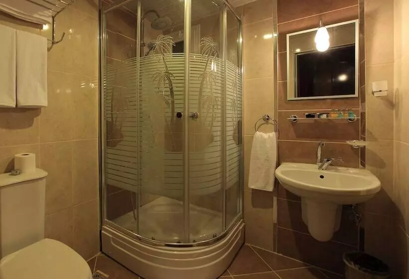 Fotos del hotel Hotel Ogulturk:  6