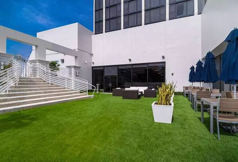 Fotos del hotel Hilton Miami Downtown:  20