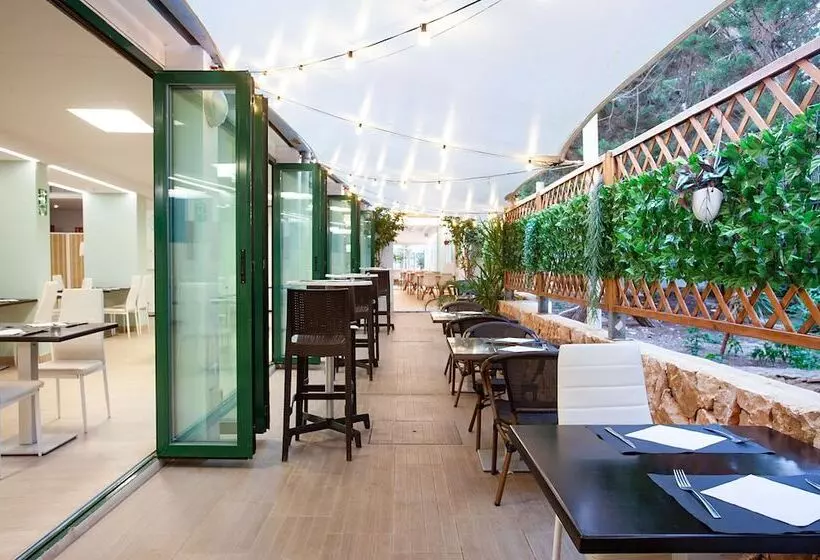 Fotos del hotel Los Rosales:  7