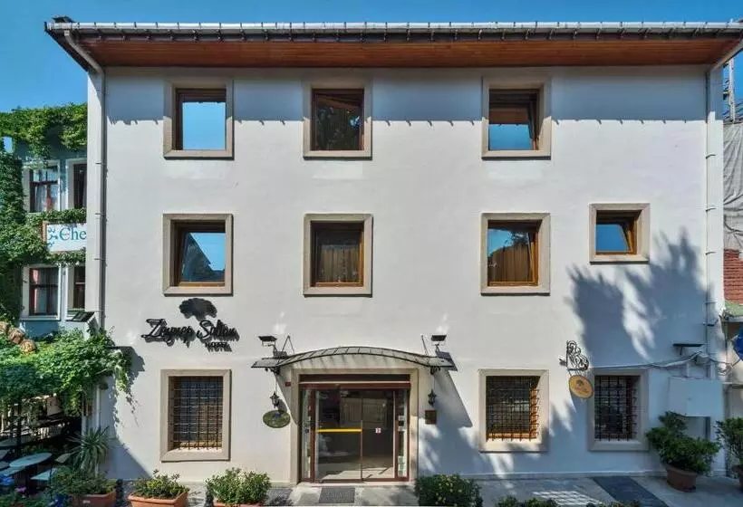 Fotos del hotel Zeynep Sultan:  7