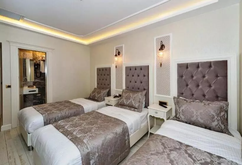 Fotos del hotel Zeynep Sultan:  11