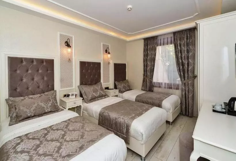 Fotos del hotel Zeynep Sultan:  2