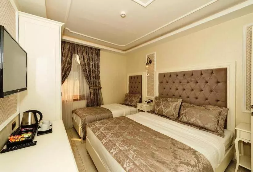 Fotos del hotel Zeynep Sultan:  12