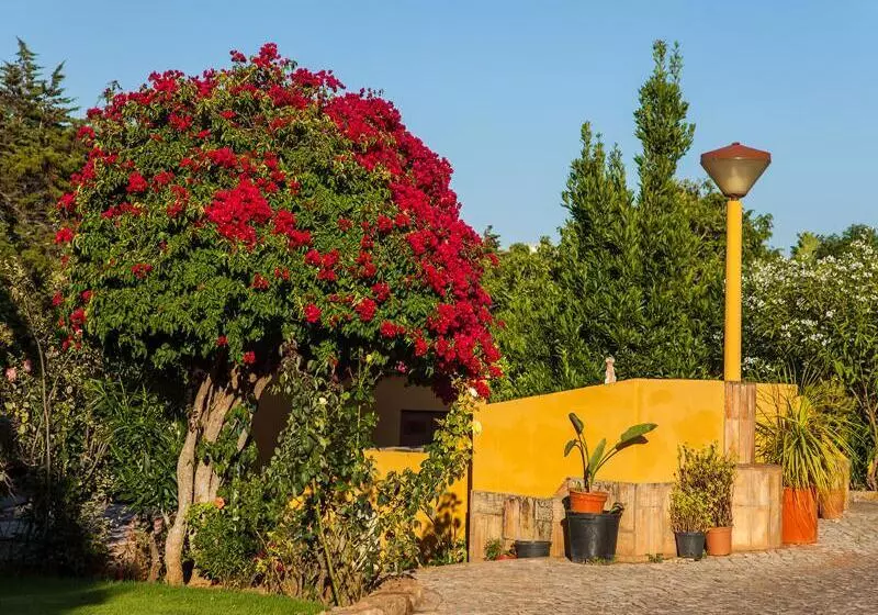 Fotos del hotel Montinho De Ouro:  23