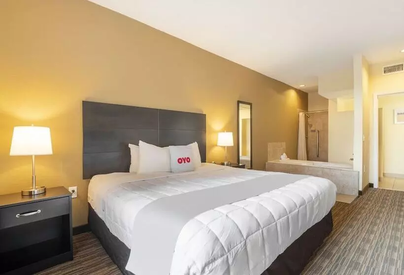 Fotos del hotel Baymont By Wyndham Houston North:  18