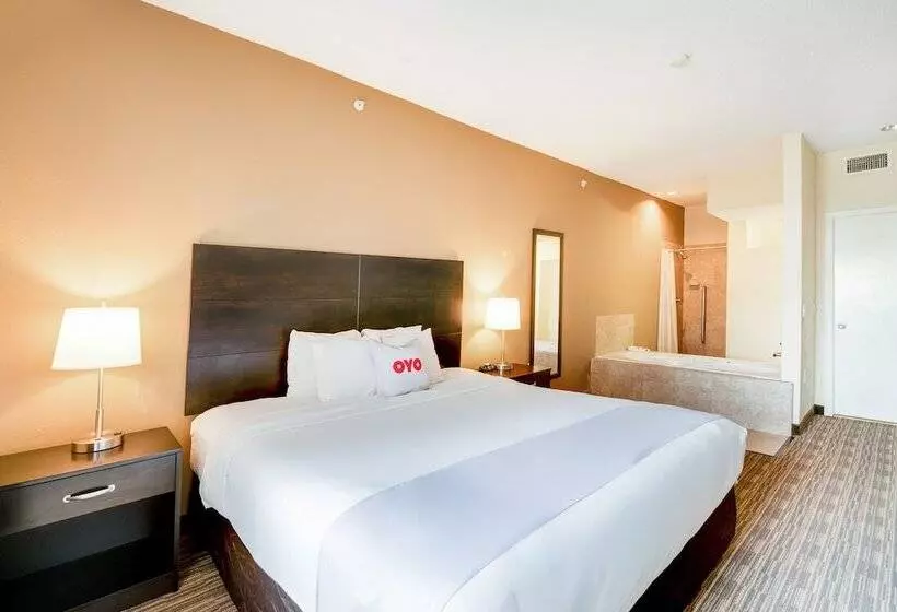 Fotos del hotel Baymont By Wyndham Houston North:  11